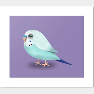 Cute illustration af a budgie Posters and Art